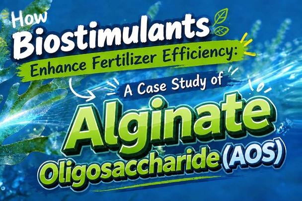 China Fertilizer Additive: Which One Is Truly Reliable?